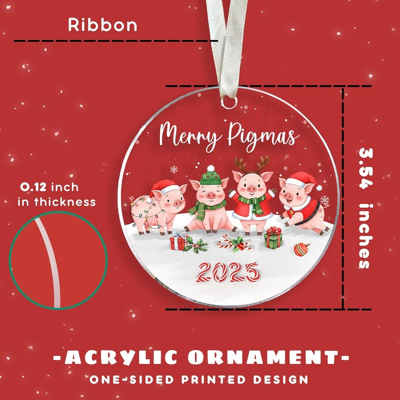 TEEBIM Pig Christmas Ornament - Pig Lover Gifts for Women, Men - Farm Animals Ornaments for Christmas Tree - Cute Farm Animal Gifts for Women, Men, Lovers - Acrylic Hanging Ornament 2025 - Image 2